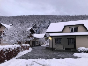 Karpatske Vidlunnya